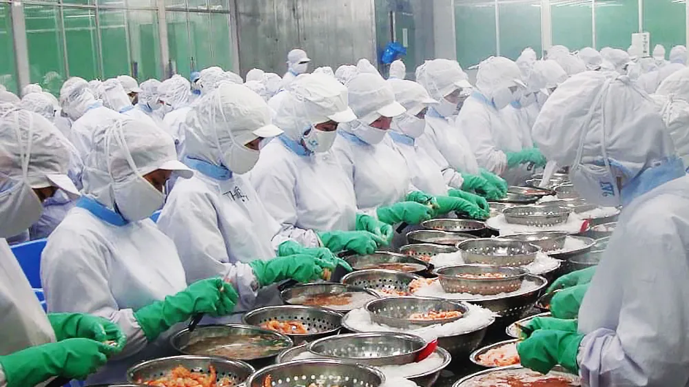 Chế biến thủy sản xuất khẩu sang Nga và EU tại một doanh nghiệp