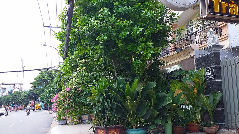 Vỉa hè bị rào kín, người đi bộ hết lối