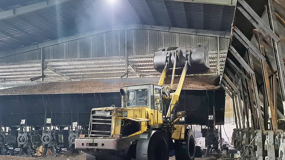 Sản xuất dầu điều tại Công ty TNHH chế biến nông sản Phước Thành, phường Phước Bình, thị xã Phước Long, tỉnh Bình Phước