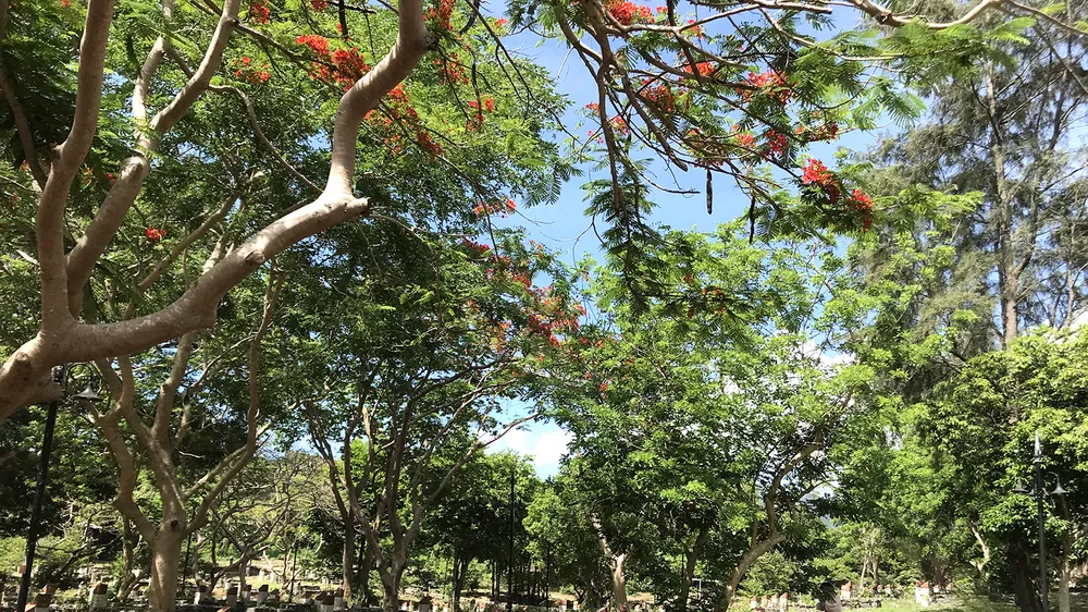 Nghĩa trang Hàng Dương - nơi chở che cho thế hệ anh dũng ngã xuống ngày hôm qua