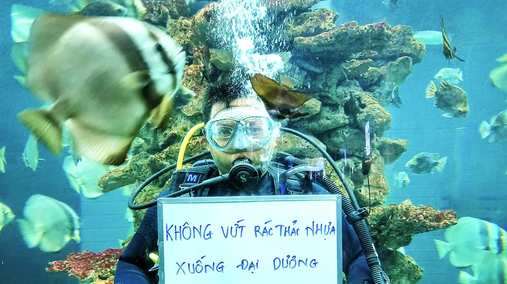Chung tay vì một đại dương xanh