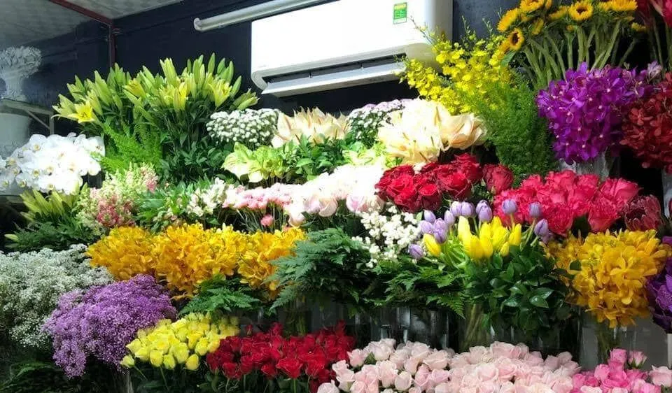 Lâm Đồng: Tăng cường nhập khẩu giống hoa có bản quyền