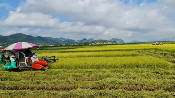 Cánh đồng chưa “bay” - Bài 5: Nông nghiệp là lợi thế quốc gia, trụ đỡ của nền kinh tế