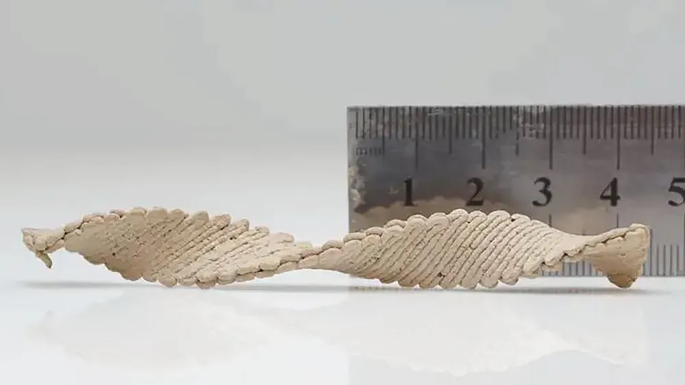 Mô hình 3D có hình dạng xoắn ốc
