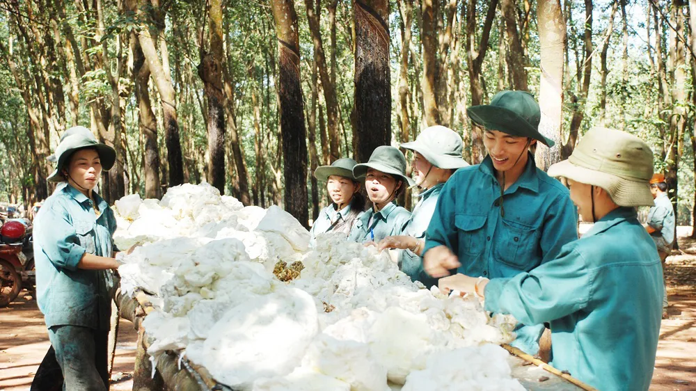 Mủ cao su là mặt hàng xuất khẩu chủ lực của Bình Phước