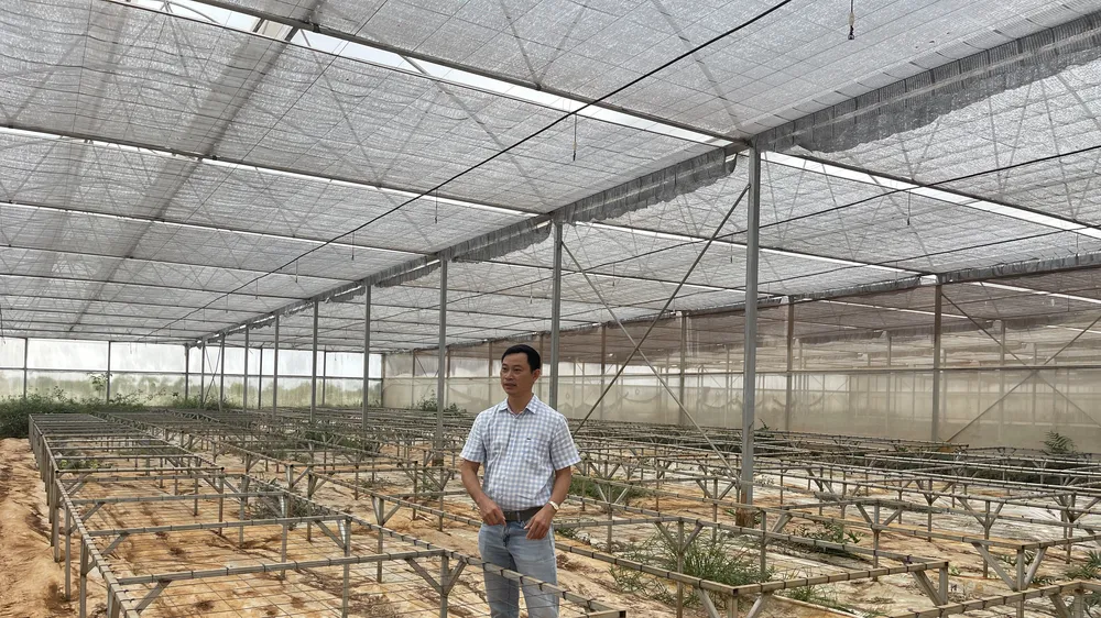 Trang trại nông nghiệp tiền tỷ bỏ hoang do sai pháp lý đầu tư