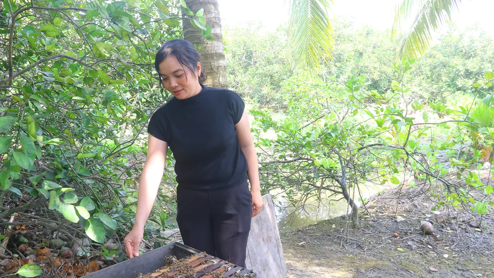 Luồng gió mới từ nông thôn mới kiểu mẫu