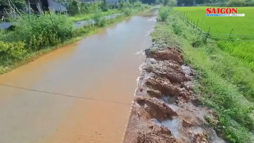Quảng Bình: Cần nâng cấp tuyến chính kênh Rào Nan nhằm phát huy công trình thủy lợi 350 tỷ đồng