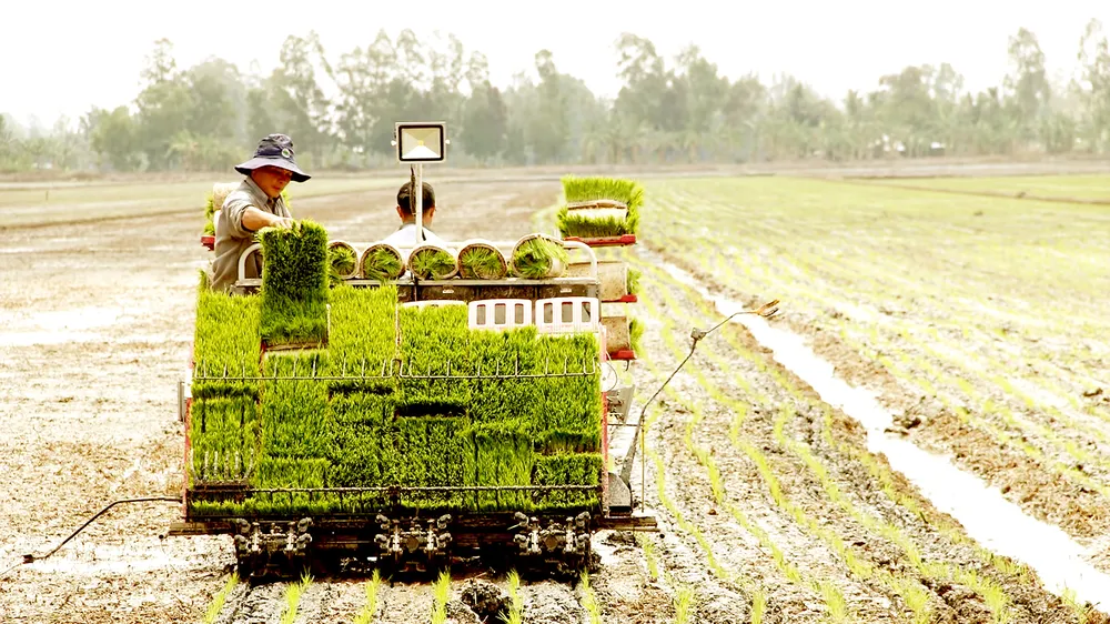 Miền Tây lo ứng phó El Nino