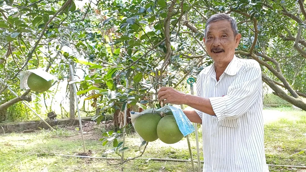 Đổi thay ở xã nông thôn mới Bạch Đằng