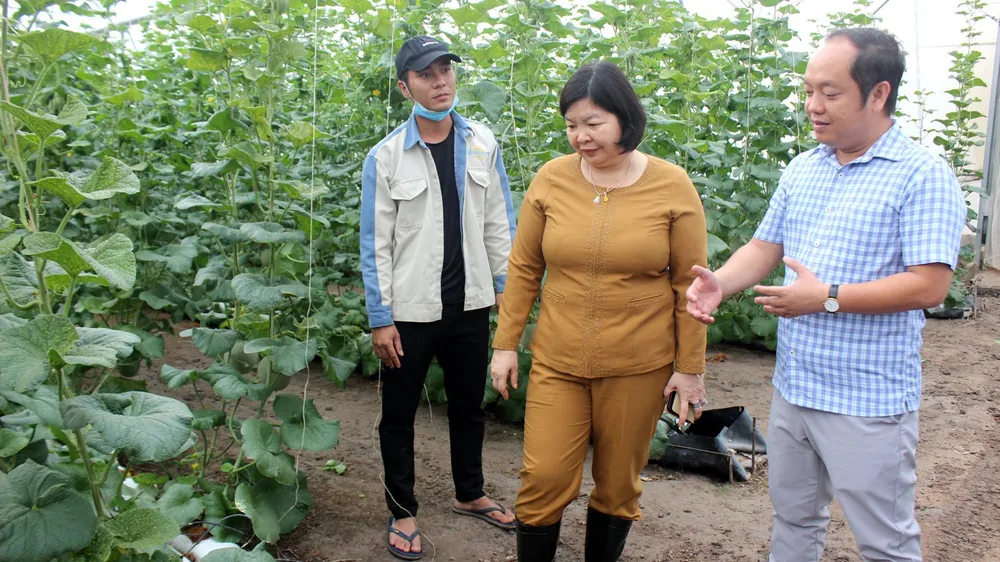 Phú Giáo phát triển du lịch canh nông