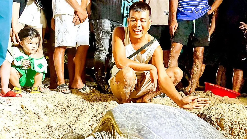 Chung tay bảo tồn thú biển quý hiếm