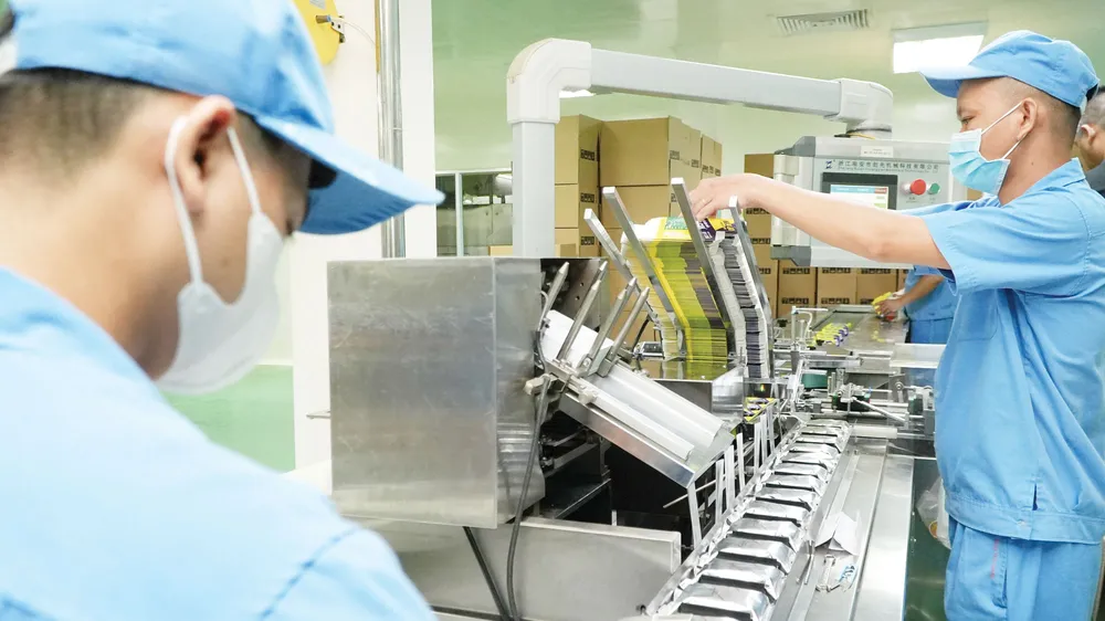 Mở rộng đầu tư phải đồng thời với gia tăng hiệu quả