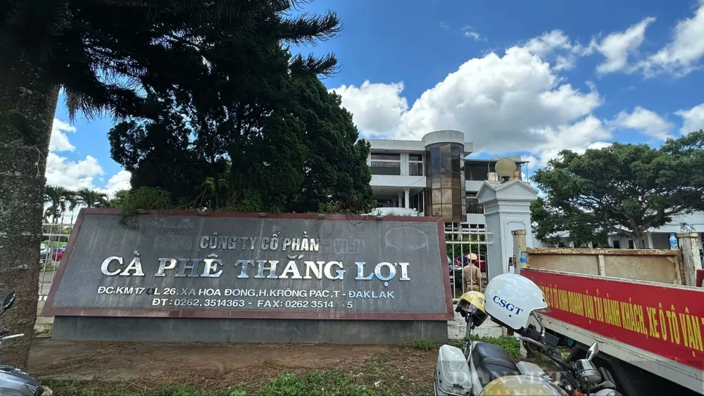 Đắk Lắk: Kiến nghị thu hồi 616ha đất cà phê của Công ty cà phê Thắng Lợi