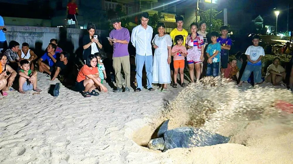 Kỳ tích “làng san hô”