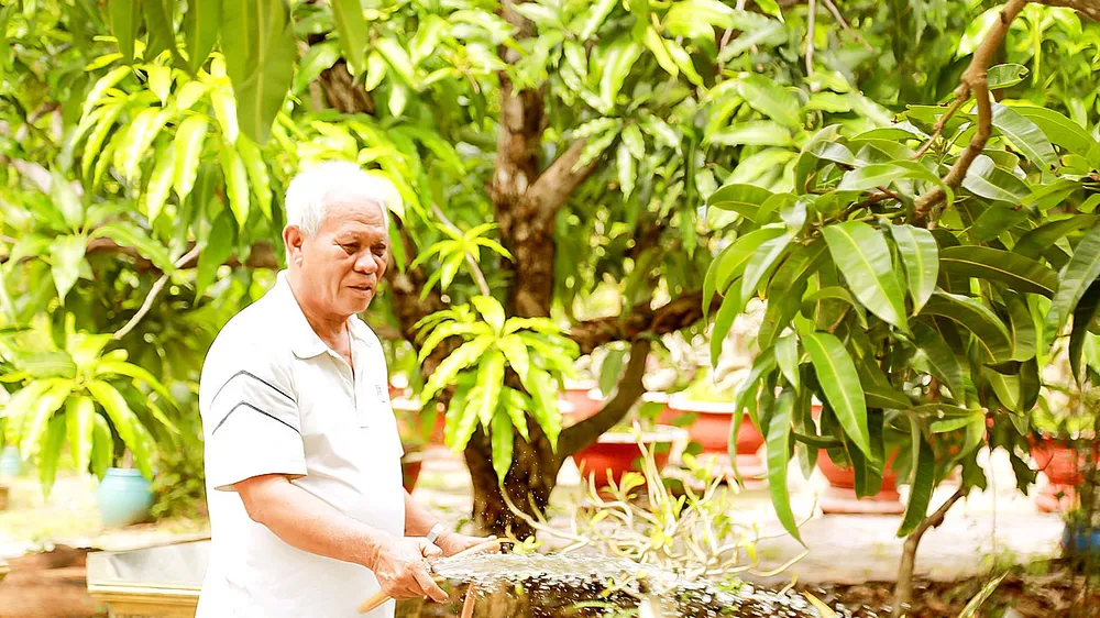 Ông Đoàn Thanh Tường, nông dân tiêu biểu của xã Cần Giờ (TPHCM), chăm sóc vườn cây ăn trái. Ảnh: ĐỨC TRUNG