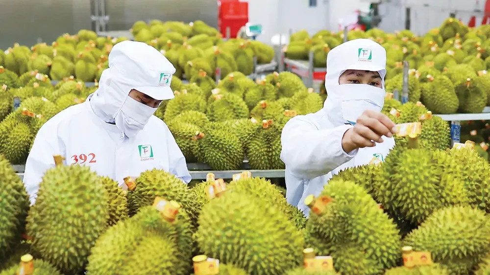 Cần đột phá để xuất khẩu nông, lâm, thủy sản đạt 100 tỷ USD