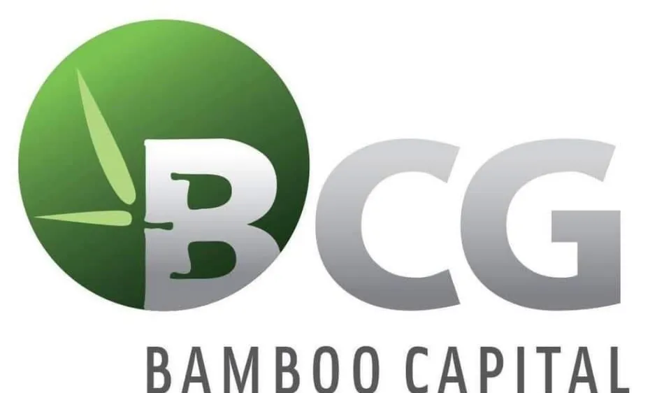 2 cổ phiếu thuộc hệ sinh thái Bamboo Capital bị hủy niêm yết