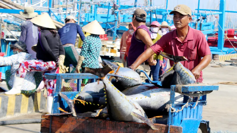 Mạnh về biển, phát triển bền vững từ biển - Bài 1: Nỗi niềm chưa giàu từ biển