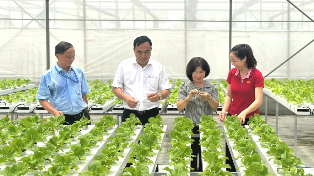 Khi chính sách cho khoa học - công nghệ được “trao tay”