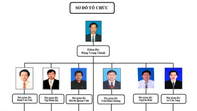 Sơ đồ tổ chức Sở TN&MT tỉnh Bình Định có 6 Phó Giám đốc Sở