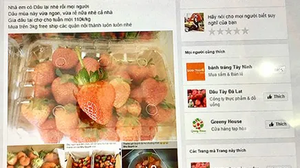 Bán hàng tiêu dùng trực tuyến lên ngôi