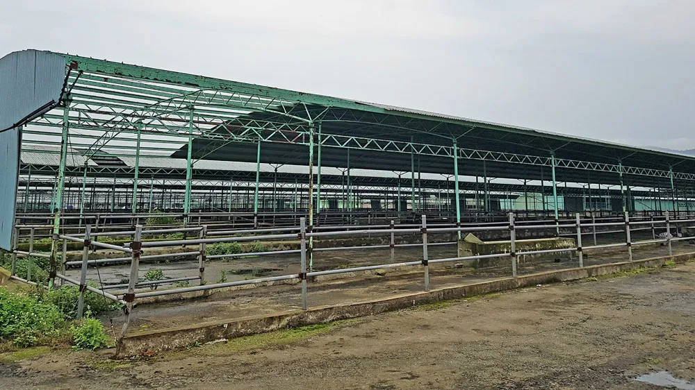 Khởi tố nguyên tổng giám đốc chiếm đoạt hàng tỷ đồng