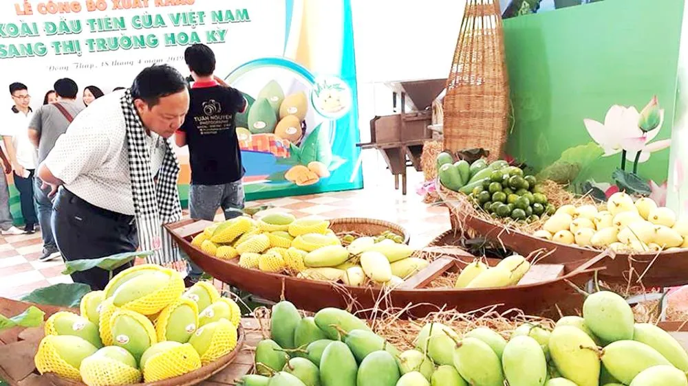 Tín hiệu vui cho địa phương thế mạnh về xoài