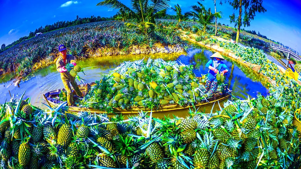 Xây dựng thương hiệu một Hậu Giang thân thiện