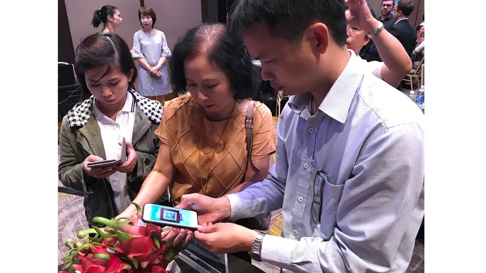 Sử dụng công nghệ Blockchain để truy xuất nguồn gốc thanh long xuất khẩu
