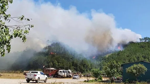 Kiểm điểm ban quản lý chậm báo cáo vụ cháy 17ha rừng