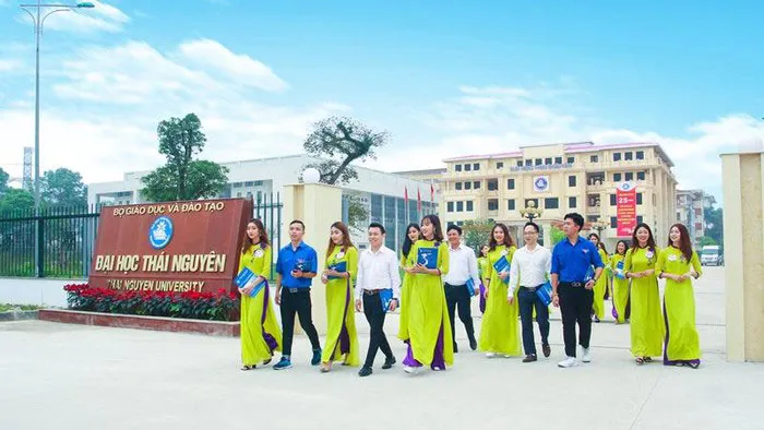 Kiểm tra việc phát triển giảng viên tại trường đại học có khoa sư phạm