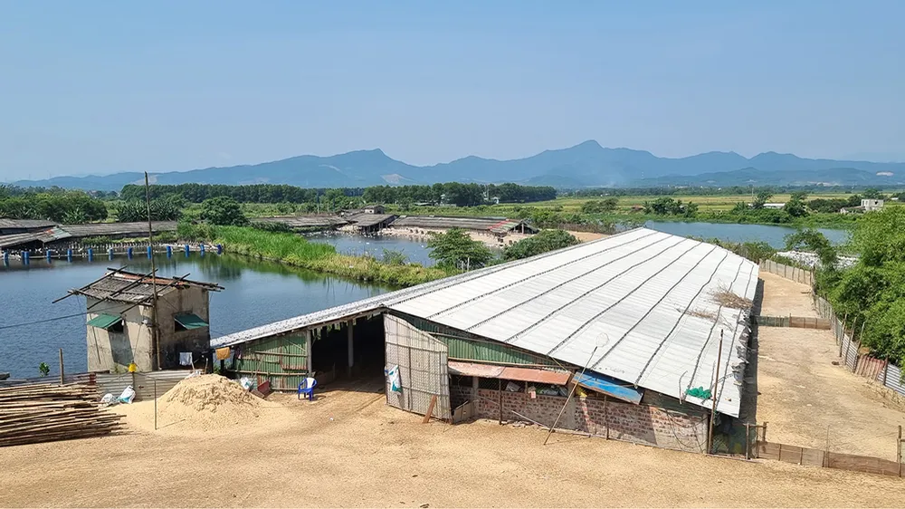 Đê lấn chiếm sông Lũy Thầy khiến 2/3 dòng sông bị chặn