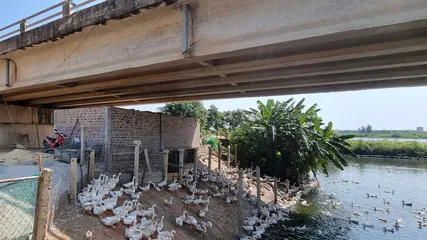 Vụ lấn di tích Lũy Thầy ở Quảng Bình: UBND huyện chỉ đạo xử lý dứt điểm