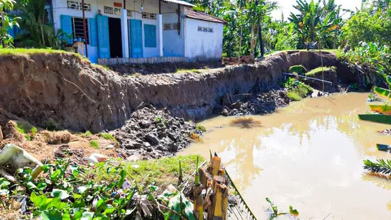 Hậu Giang: Liên tiếp sạt lở khu vực ven sông Hậu
