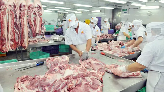 Không để thiếu hụt, tăng giá thịt heo