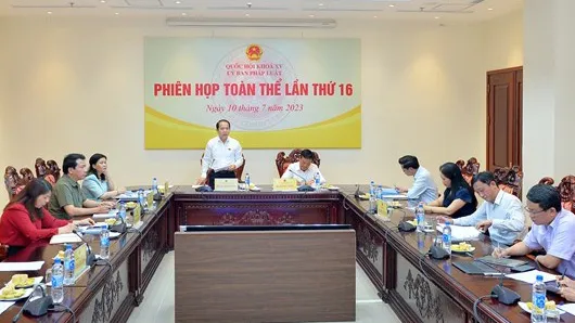 Đề xuất ban hành theo thủ tục rút gọn nghị quyết về sắp xếp đơn vị hành chính