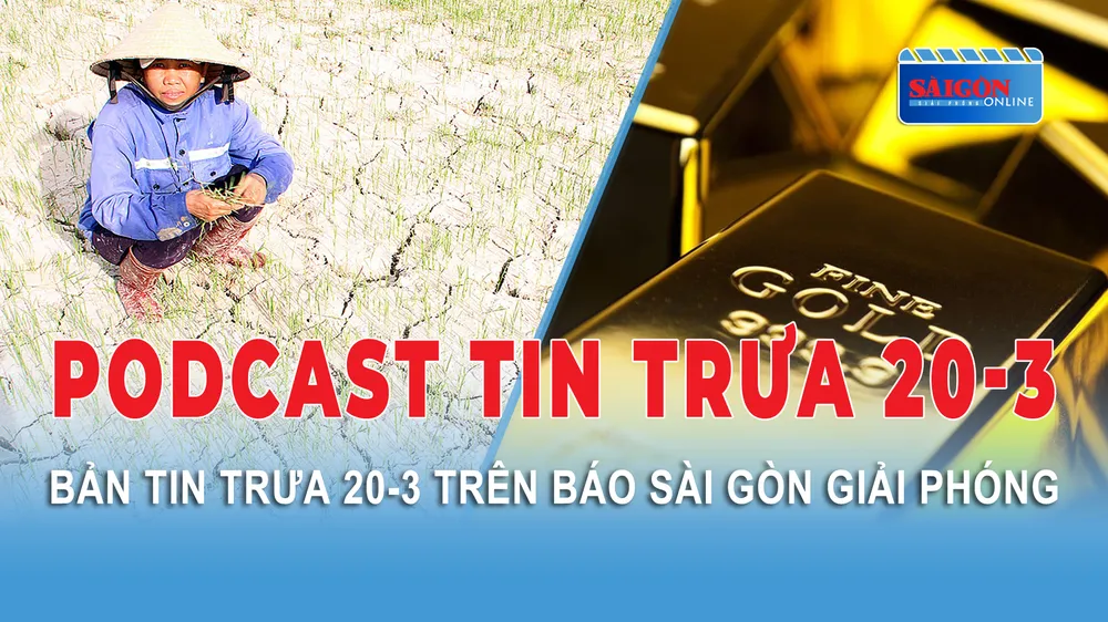 Podcast tin trưa 20-3: Nắng nóng gay gắt đến sớm; Giá vàng chờ kết quả cuộc họp FED