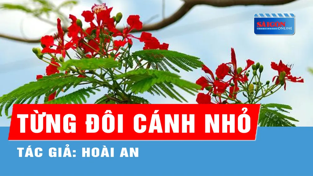 Từng đôi cánh nhỏ