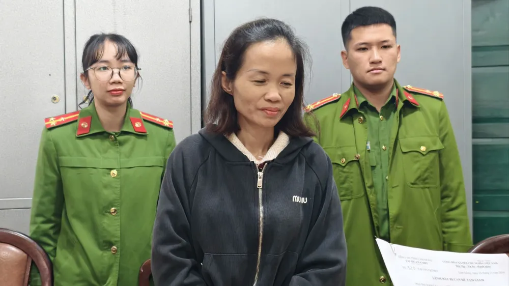 Mượn tiền tỷ không trả, người phụ nữ bị khởi tố
