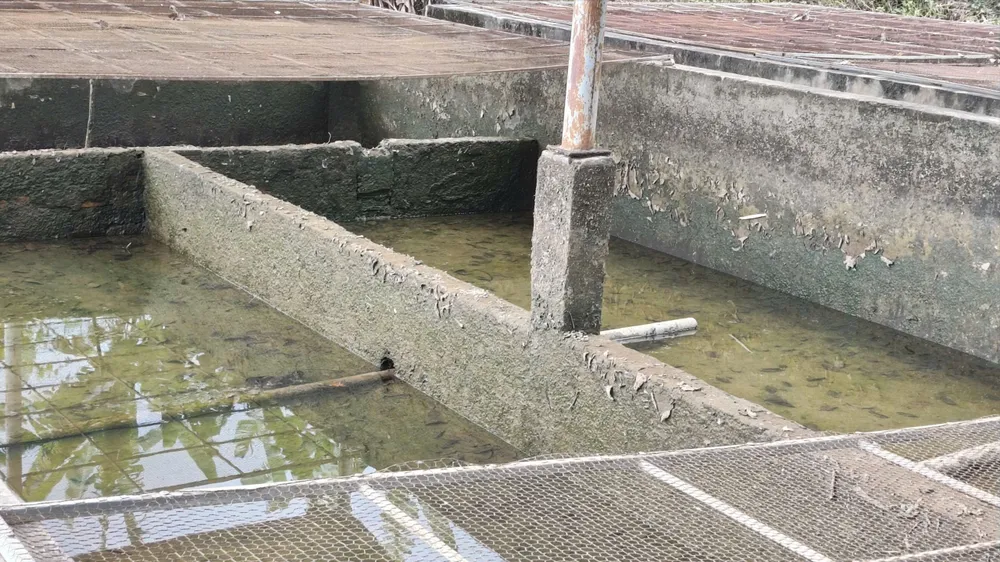 Quảng Ngãi: Khoảng 4.000 người dân xã Đăk Rve mong có nước sạch