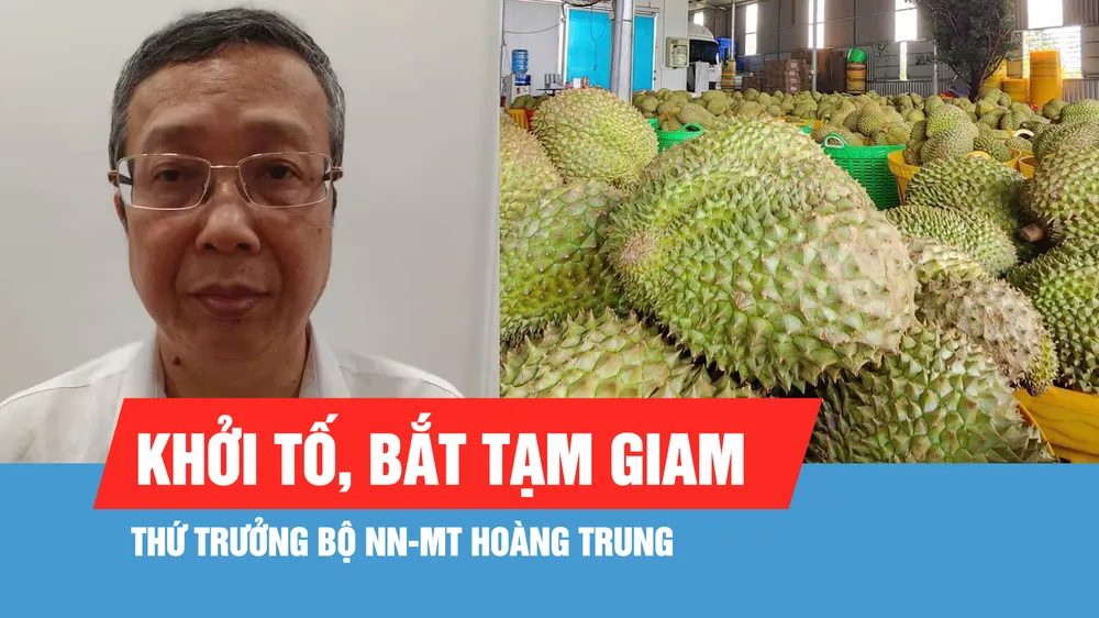 Khởi tố, bắt tạm giam Thứ trưởng Bộ NN-MT Hoàng Trung về tội "Nhận hối lộ"