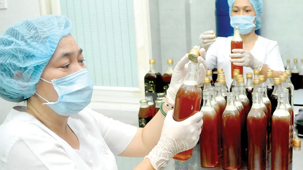 Rộng mở thị trường xuất khẩu 