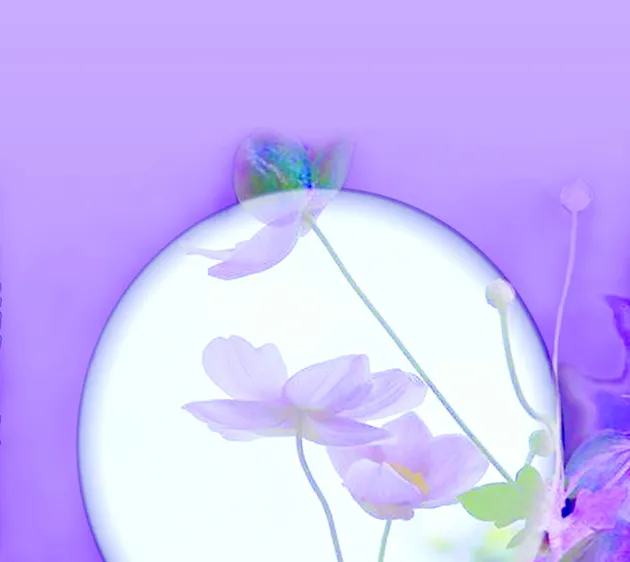 Riêng gửi Cửu Long
