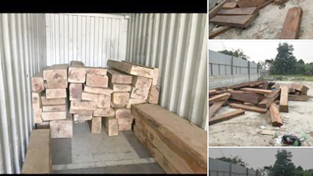 Ngang nhiên mua bán trái phép gỗ quý hiếm