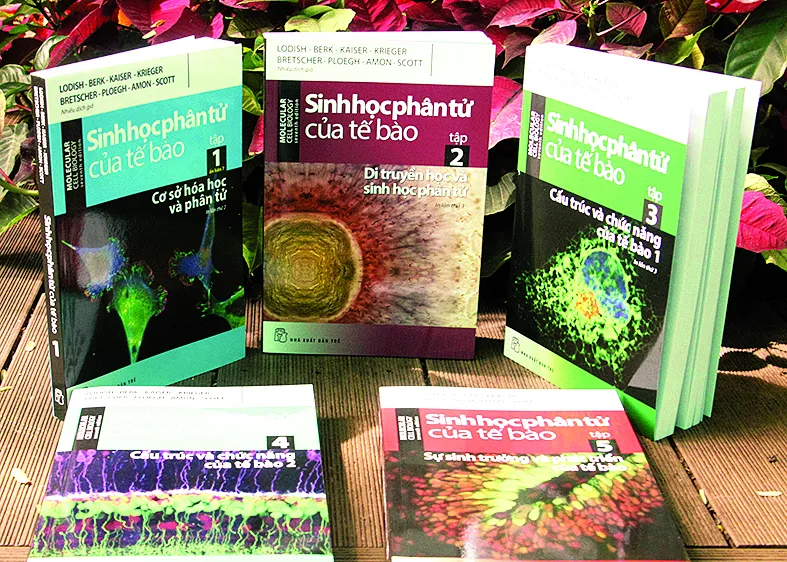 10 năm và một bộ sách