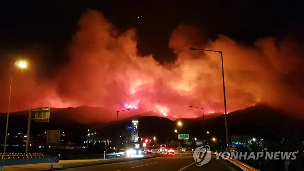 Ngọn lửa bao trùm vùng núi Gangneung ngày 5-4. YONHAP