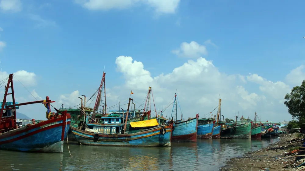 “Phạt nguội” hàng chục tàu cá đánh bắt trái phép