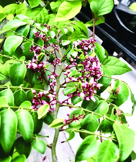 Về ngang phía nhớ