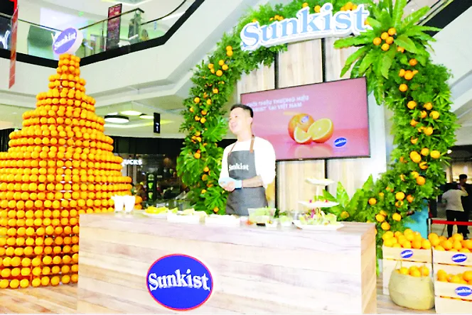 Sunkist mang cam Navel, California vào Việt Nam 